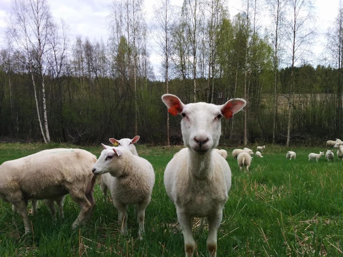 Вілла Suvituuli | Paajoen Vuokramoekit Himos Екстер'єр фото